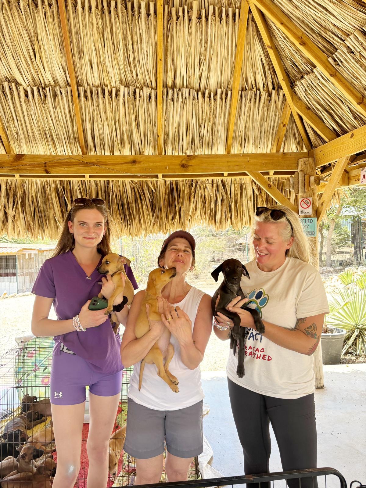 𝗙𝗿𝗼𝗺 𝗖𝗮𝗻𝗮𝗱𝗮 𝘁𝗼 𝗖𝘂𝗿𝗮ç𝗮𝗼: 𝗔 ‘𝗣𝗮𝘄𝘀𝗶𝘁𝗶𝘃𝗲 𝗜𝗺𝗽𝗮𝗰𝘁’ 🇨🇦🐾
​A year ago, a  group of friends from Canada visited our island. They saw the stray dogs on the streets and made a choice: they wouldn’t look away; they would take action.
​They founded their own foundation, Pawsitive Impact, and went full throttle with fundraising. Vet Marika even ran the grueling New York City Marathon to turn every mile into help for our four-legged friends! 🏃‍♀️💨
​Last week, the moment finally arrived. On Monday, Marika started at the clinic of our well-known Sjoerd de Groot (Veterinary Clinic Alablanca). For three days, she stood tirelessly at the operating table for sterilizations, but she did so much more:
​Examining puppies and treating wounds 🩺
​Catching dogs on the street to provide medical care 🐕
​Tarra assisted like a pro, while the other volunteers discovered (the hard way) exactly how much puppies can poop... 🫣💩
​It was hard work at our Center, but with the current explosion of puppies, this help was needed more than ever.
​Thank you, thank you, thank you to the entire Pawsitive Impact team! You have made a real difference for the dogs of Curaçao. We truly hope this is just the beginning of a wonderful partnership. See you soon! 🐾❤️
#adoptdontshop #rescuepawscuraçao #westpointerofcuraçao #westpointer #rescuedog