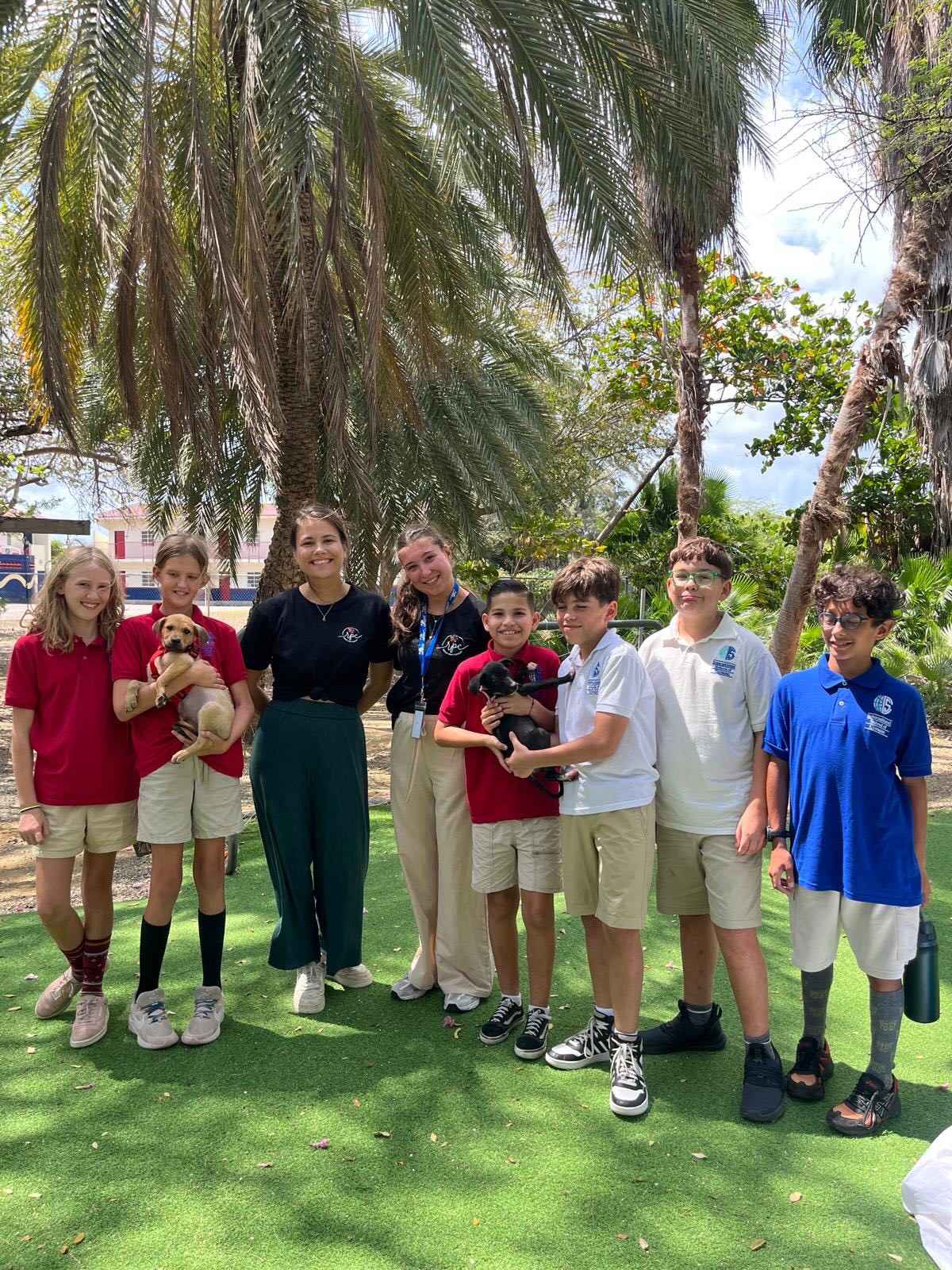 🐾💙 Education & love for animals 💙🐾
Last Thursday, our amazing volunteers Maud and Esmee visited the International School of Curaçao 🏫✨
They brought along two adorable pups: Ott & Olia 🐶🐶 — and of course… they received endless cuddles! 😍
During the visit, the children learned about animal welfare, the importance of adoption, and how they can make a difference themselves 🙌🐾
And making a difference they did! 💥 
The very next day, a group of children came by with an incredible amount of donations 🎁👏
Including:
🥫 Wet food 
🍖 Kibbles
🧸 Toys 
🦴 Treats 
🛏️ Dog beds 
What an amazing and heartwarming gesture 💙 We are so grateful for these kind and compassionate kids (and their parents too 😉)
Together, we make a difference for the dogs of Curaçao 🐾✨
#rescuepawscuracao #adoptdontshop #animalwelfare #togetherwecan #dogrescuecuracao