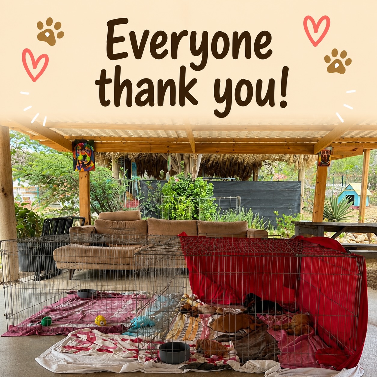 Do you remember our fundraising campaign for puppy cages? 🐶❤️ We managed to raise the full amount within just a few hours! 🙌🏼

Thanks to your amazing support, we were able to purchase these puppy cages. This means our puppies can now safely and comfortably play and sleep together. 🥰🐾

𝗔 𝗵𝘂𝗴𝗲 𝘁𝗵𝗮𝗻𝗸 𝘆𝗼𝘂 𝘁𝗼 𝗲𝘃𝗲𝗿𝘆𝗼𝗻𝗲 𝘄𝗵𝗼 𝗱𝗼𝗻𝗮𝘁𝗲𝗱! ❤️ 𝗪𝗲 𝗰𝗼𝘂𝗹𝗱𝗻’𝘁 𝗵𝗮𝘃𝗲 𝗱𝗼𝗻𝗲 𝗶𝘁 𝘄𝗶𝘁𝗵𝗼𝘂𝘁 𝘆𝗼𝘂! 🙏🏼

#rescuepawscuraçao #adoptdontshop #rescuedog #westpointer #westpointerofcuraçao