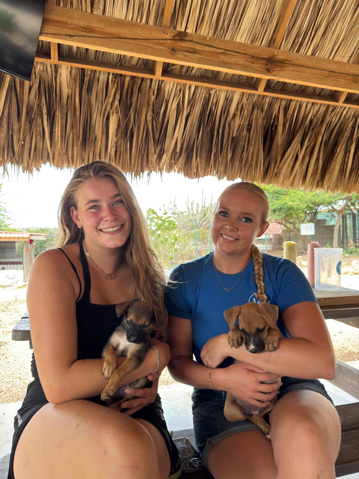 𝗜𝗡𝗧𝗘𝗥𝗡𝗪𝗔𝗡𝗧𝗘𝗗 𝗜𝗡 𝗖𝗨𝗥𝗔Ç𝗔𝗢! 🐶🐾
Do you ❤️ animals and are you looking for a fun and educational internship in Curaçao? Then we have a spot for you!

Rescue Paws Curaçao is looking for an enthusiastic intern to join our team, gain hands-on experience, learn new skills and, of course, give our dogs lots of love! 🐕

𝗪𝗵𝗲𝗻? 📅
We are looking for someone who can start at short notice and stay for an internship until the beginning of February.

𝗪𝗵𝗶𝗰𝗵 𝗲𝗱𝘂𝗰𝗮𝘁𝗶𝗼𝗻 𝗽𝗿𝗼𝗴𝗿𝗮𝗺𝘀? 🎓
We are an SBB-recognized training company for the following programs:

✔️ Animal Care Business Manager (Level 4)
✔️ Veterinary Assistant (Level 4)
✔️ Independent Animal Care Worker (Level 3)

Are you studying a different program related to animal care? We’d still love to hear from you! We’re happy to explore the possibilities together.

𝗜𝗻𝘁𝗲𝗿𝗲𝘀𝘁𝗲𝗱, 𝗼𝗿 𝗸𝗻𝗼𝘄 𝘀𝗼𝗺𝗲𝗼𝗻𝗲 𝘄𝗵𝗼 𝘄𝗼𝘂𝗹𝗱 𝗯𝗲 𝗮 𝗽𝗲𝗿𝗳𝗲𝗰𝘁 𝗳𝗶𝘁? 💌

Send an email directly to manager@rescuepawscuracao.com and tell us a little about yourself, your studies and your internship requirements.

Who knows, we might see you soon! 😁🐾

#rescuepawscuraçao #internship #curacao #animallovers #rescuedogs