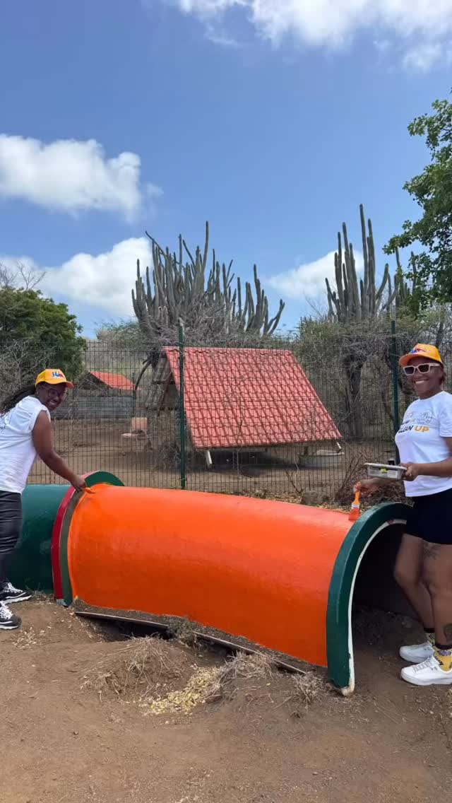 🛠️🐾 𝐀 𝐡𝐮𝐠𝐞 𝐭𝐡𝐚𝐧𝐤 𝐲𝐨𝐮 𝐭𝐨 𝐋𝐢𝐨𝐧𝐬𝐃𝐢𝐯𝐞! 💙💛
This week, the amazing team from LionsDive Beach Resort once again visited the Rescue Paws Curaçao Center to give the dogs’ play area a much-needed makeover 🐶✨
And wow, they worked hard! 💪
🌿 They trimmed and cleaned the area
🎨 Everything got a fresh coat of paint
🚗 The car looks great again
✈️ The airplane has been refreshed
🛞 The tires were repainted
🌀 The tunnel looks beautiful again
📦 And the container was also completely updated
This is something they kindly do for us every single year, and we truly appreciate it ❤️ Thanks to their effort, our dogs once again have a happy, safe, and beautiful environment to play and stay in 🐕☀️
On behalf of all the dogs and volunteers:
𝐓𝐇𝐀𝐍𝐊 𝐘𝐎𝐔 for your time, energy, and support 🙏🐾
#rescuepawscuracao #lionsdivebeachresort #thankyou #teamwork #dogrescue