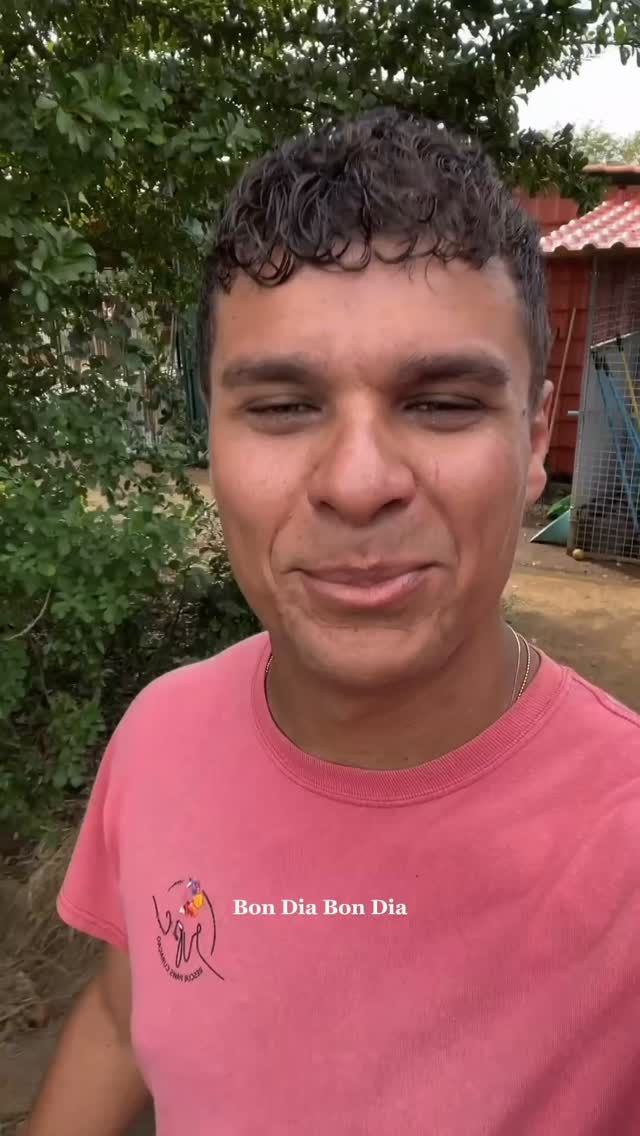 Bendi & Shon at our center! 🛖❤️🐾
Will you take a look with us? 👀
#adoptdontshop #rescuepawscuraçao #rescuedog #westpointerofcuraçao #westpointer