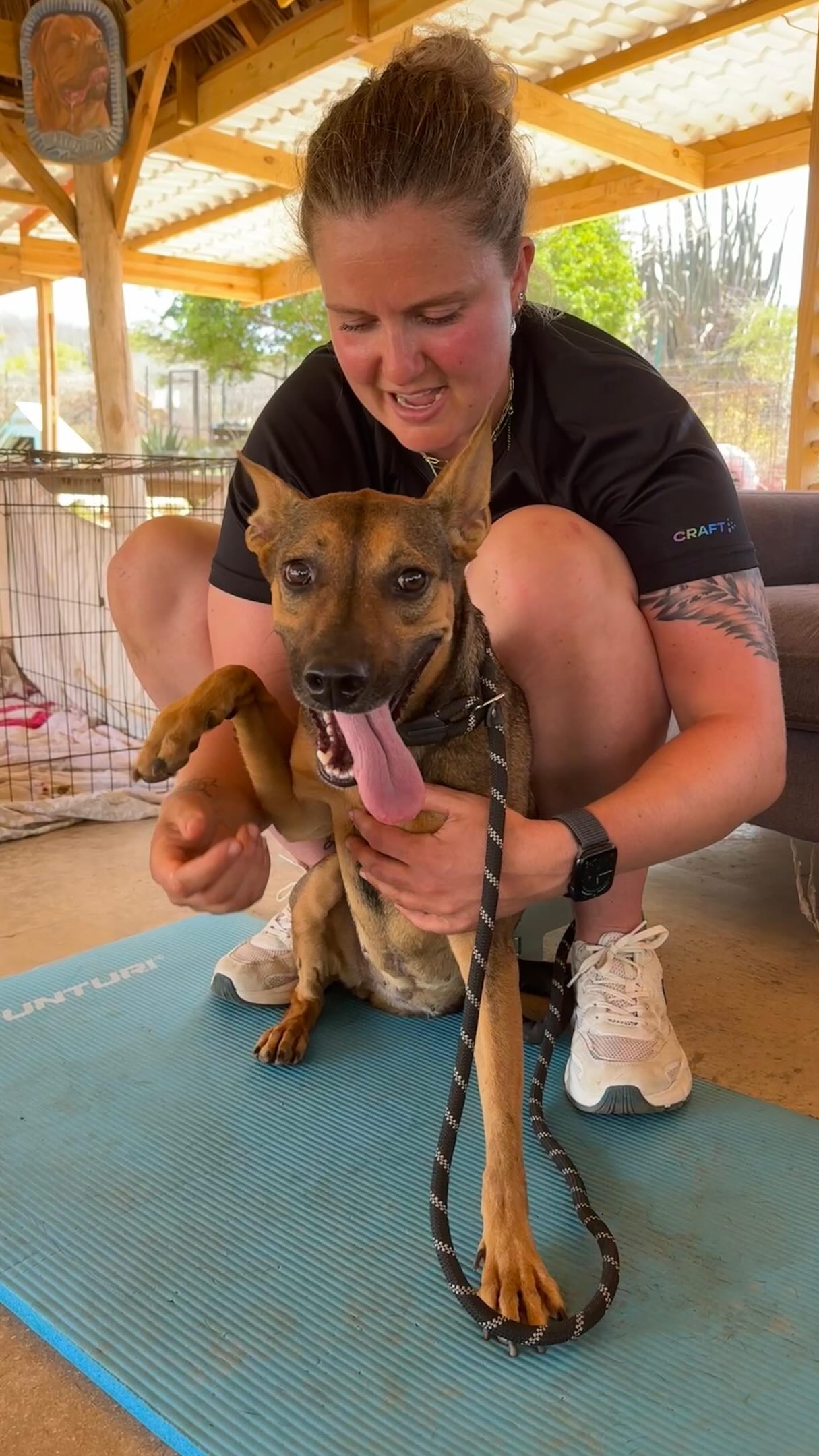 🐾 A huge thank you to animal physiotherapist Jet Steur 🩵

Last week, Jet generously volunteered her time and expertise to give several of our Rescue Paws dogs a special physiotherapy session at the Center.

✨ Lucha, Klaas, Djara, Dotje, Reska & Purple were all treated with so much love, patience and care.

Seeing these dogs relax, move better and truly enjoy the attention was incredibly special. The footage says it all 🥰

We are beyond grateful for people like Jet, who use their knowledge and kindness to help our rescue dogs feel their very best.

Thank you for making a difference for these sweet souls 🐾💙

#rescuepawscuracao #thankyou #animalphysiotherapy #rescuedogs #curacaodogs