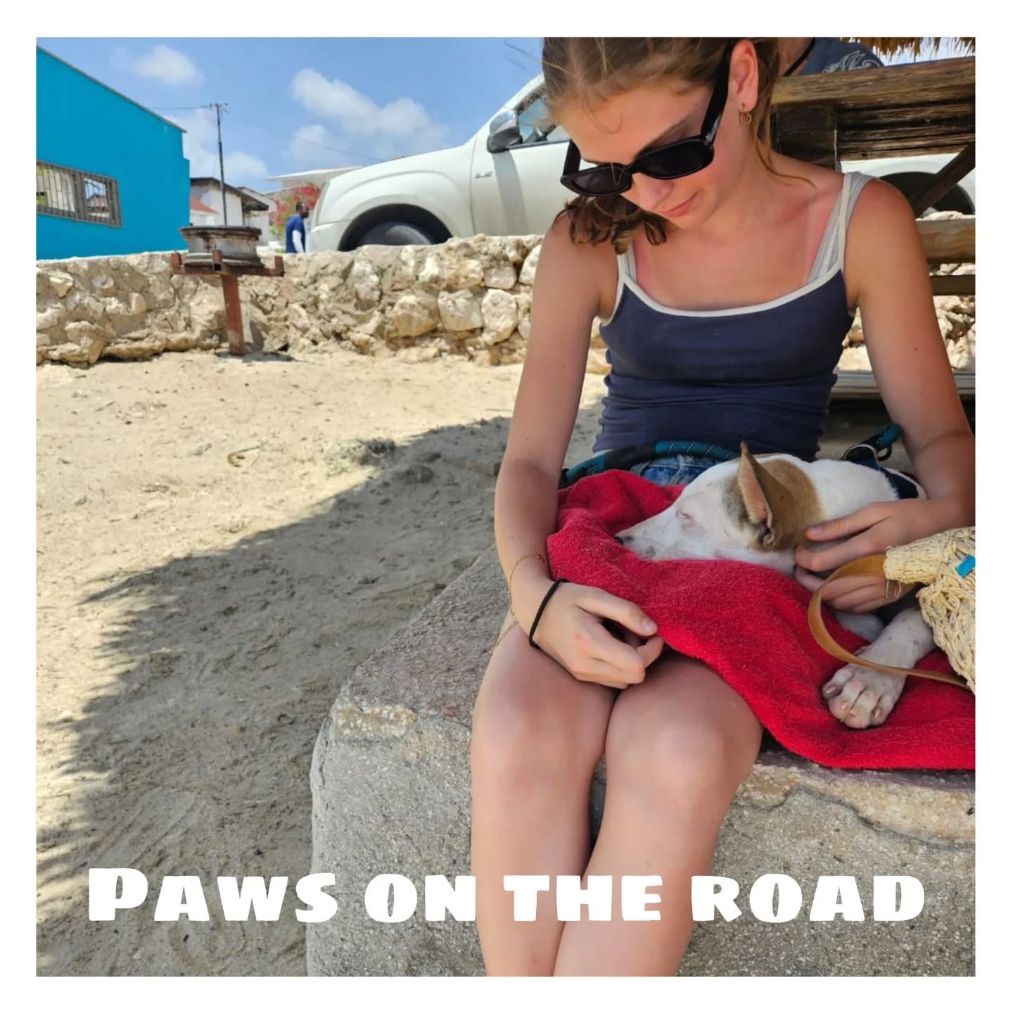🐶 Peek at the week – Rescue Paws Curaçao

😌 Extra attention
Purple fully enjoyed all the love and attention under the palapa this week 💜

🐾 Paws on the move
Priti and Mister Black got to go to the beach and discovered that the sea was a little deeper than expected 🤭💕
Sulley also had a wonderful, but tiring, day out 🤍

🏠 New homes
Miso and Rachol moved into their forever homes on Curaçao 🩷
Alfa and Maya both found loving homes in the Netherlands 🥰

Star moved into her forever home on the island, where her big sister Smokey from RPC also lives 🤍

😎 New kids in town
New in foster care: Mula and Truffel 🐾
New at the center: Donald, Norman, Tati, Muneca, Chiki, Luna and Brandon 🤎

Yaim moved from a foster home to the center this week!
Welcome sweethearts! 🩵

🤝 Support and visits
We received a wonderful donation from Kelly, Kevin and Madi from @binnenvaartschiplucy . They organized a fundraiser and we are incredibly grateful for their support. Thank you so much on behalf of all the dogs 🐾❤️

Animal physiotherapist Jet Steur came by to visit and treated several dogs. Purple, Lucha, Klaas, Djara, Dotje and Reska clearly enjoyed all the attention 🤎 Thank you so much for your visit @steur.dierfysiotherapie!

💛 Other announcements
✨ Thanks to your support, visits, donations and love, we are able to make a difference every single week for so many sweet dogs. Thank you for being part of our RPC family 🐾💛

#RescueDogsOfInstagram #rescuecenter #spayandneuter #adopteddogs #adoptabledogs