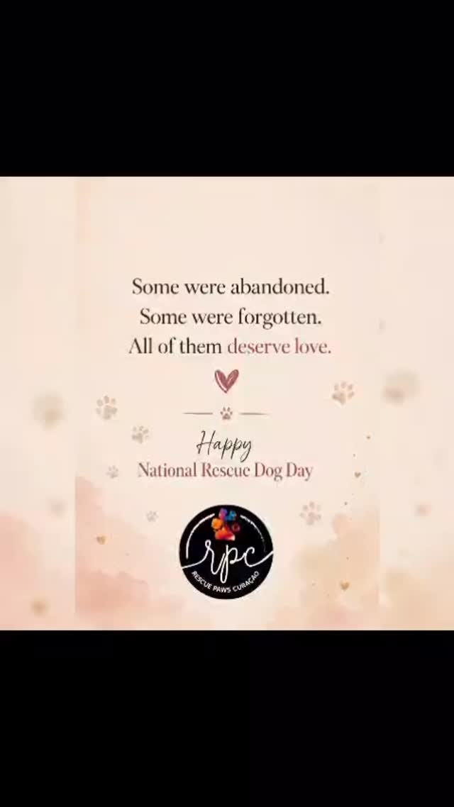 🐾 NATIONAL RESCUE DOG DAY 🐾

Every year on May 20, on National Rescue Dog Day, we take a moment to reflect on the fact that people all around the world dedicate themselves to giving dogs — who were not born into a golden basket — the beautiful life they deserve.

And these people play many different roles. Without adopters, there is no room for new rescues. Without donors and sponsors, there is no money for care. Without volunteers at the various rescue centers, there is no daily support and attention. Without the people helping dogs on the streets, there are no rescue missions. Without social media, there is no awareness and reach.
In one way or another, everyone contributes their part.

We also take a moment to think about all the dogs who have already had the luck of being rescued and noticed, and the many dogs still hoping for that same chance.

In the video, you will see several dogs from  Rescue Paws Curaçao￼ who are still holding onto that hope — the hope of being noticed and finding a basket full of love.

Maybe one of them is waiting for you to make their dream come true?
Feel free to fill out an adoption form with no obligation, and we will see whether you could be a perfect match! ❤️❤️

👉🏻 https://rescuepawscuracao.com/nl/adoptieformulier/

#adoptdontshop #nationalrescuedogday #saveastray #rescuedog #straydoglove❤️