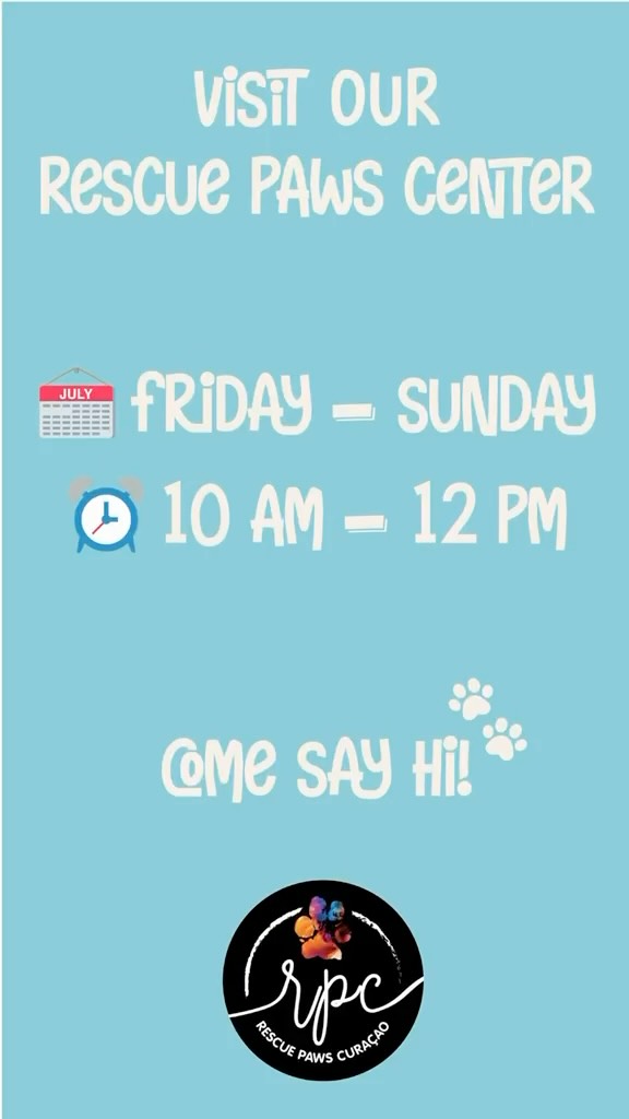 🐾 𝗪𝗜𝗟𝗟 𝗬𝗢𝗨 𝗖𝗢𝗠𝗘 𝗩𝗜𝗦𝗜𝗧 𝗢𝗨𝗥 𝗥𝗘𝗦𝗖𝗨𝗘 𝗖𝗘𝗡𝗧𝗘𝗥? 🌴❤️

Do you live on Curaçao or are you visiting our beautiful island? Then we would love to welcome you to our Rescue Center! 🐶

For us, it’s not only about finding our dogs their forever homes. We also believe it’s incredibly important for our dogs to have positive experiences with people. That’s why we encourage visitors to spend time with our dogs, give them cuddles and, of course, lots of love and attention! 🥰🐾

For you, it’s a lovely way to spend some time with our amazing dogs, but for them, it means so much more. ❤️ Your attention helps them socialize, build confidence and enjoy positive interactions with people.

🎁 Would you like to bring something for our dogs?
We are always very grateful for donations of:
🐕 Dog food / bags of kibble
🥫 Cans of wet food
🦟 Flea and tick treatments
➡️ NexGard and/or Frontline Puppy Spray only, please!
💊 Deworming medication

Are you looking for a furry friend to share your life with? 🏡❤️ Or would you simply like to meet some of our amazing dogs and give them some extra love? Come and visit us! 🐾✨

📍 PLANTAGE PORTO MARIE
Way to Cas Abao, opposite Villapark Fontein

🕙 OPENING HOURS
Monday — Closed
Tuesday — Closed
Wednesday — Closed
Thursday — Closed
Friday — 10:00 AM–12:00 PM
Saturday — 10:00 AM–12:00 PM
Sunday — 10:00 AM–12:00 PM

We hope to see you soon! 🌴🐾❤️
Our dogs are ready for some cuddles! 🥰