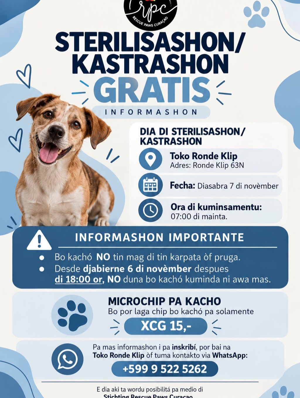 𝗧𝗼𝗴𝗲𝘁𝗵𝗲𝗿, 𝘄𝗲’𝗿𝗲 𝗺𝗮𝗸𝗶𝗻𝗴 𝘀𝘁𝗲𝗿𝗶𝗹𝗶𝘀𝗮𝘁𝗶𝗼𝗻 𝗺𝗼𝗿𝗲 𝗮𝗰𝗰𝗲𝘀𝘀𝗶𝗯𝗹𝗲! 🐾❤️

We’re working to make it easier for dog owners to have their dogs spayed or neutered. Because the more accessible we make it, the more dogs we can help together!

That’s why we’re now bringing our sterilisation campaign directly into the neighbourhoods! This makes it easier for dog owners to have their dogs spayed or neutered, right in their own neighbourhood. 🐾❤️

Read all the details below!

🐶❤️ 𝗙𝗥𝗘𝗘 𝗦𝗣𝗔𝗬𝗜𝗡𝗚 & 𝗡𝗘𝗨𝗧𝗘𝗥𝗜𝗡𝗚 𝗜𝗡 𝗬𝗢𝗨𝗥 𝗡𝗘𝗜𝗚𝗛𝗕𝗢𝗨𝗥𝗛𝗢𝗢𝗗! ❤️🐶

Great news for all dog owners in Ronde Klip and the surrounding areas!

On 𝗡𝗼𝘃𝗲𝗺𝗯𝗲𝗿 𝟳, veterinarian Rossy Zoetrum and her surgical team will be visiting 𝗧𝗼𝗸𝗼 𝗗𝘂𝘀𝗵𝗶 𝗖𝗼𝗻𝘃𝗲𝗻𝗶𝗲𝗻𝗰𝗲 𝗦𝘁𝗼𝗿𝗲 𝗶𝗻 𝗥𝗼𝗻𝗱𝗲 𝗞𝗹𝗶𝗽 to provide 𝗙𝗥𝗘𝗘 spaying and neutering for dogs!

You won’t have to travel far. The vet is coming right to your neighbourhood. How convenient is that?!

🐾 𝗡𝗢 𝗧𝗥𝗔𝗡𝗦𝗣𝗢𝗥𝗧? 𝗪𝗘’𝗥𝗘 𝗛𝗔𝗣𝗣𝗬 𝗧𝗢 𝗛𝗘𝗟𝗣!

Would you like to have your dog(s) spayed or neutered but don’t have transportation? Please get in touch with us. If possible, we can pick up your dog(s) and bring them back home after the procedure.

📍 𝗟𝗼𝗰𝗮𝘁𝗶𝗼𝗻: Toko Dushi Convenience Store
📌 𝗔𝗱𝗱𝗿𝗲𝘀𝘀: Ronde Klip 63 NST
📅 𝗗𝗮𝘁𝗲: Saturday, November 7
🕖 𝗧𝗶𝗺𝗲: From 7:00 AM onwards

📝 𝗛𝗢𝗪 𝗖𝗔𝗡 𝗬𝗢𝗨 𝗥𝗘𝗚𝗜𝗦𝗧𝗘𝗥?

You can register at 𝗧𝗼𝗸𝗼 𝗗𝘂𝘀𝗵𝗶 𝗖𝗼𝗻𝘃𝗲𝗻𝗶𝗲𝗻𝗰𝗲 𝗦𝘁𝗼𝗿𝗲 or through our sterilisation hotline:

📱 00599 9 522 5262

This number is only available via WhatsApp.

Registration is not mandatory. You’re also welcome to come without registering, as long as there is still space available.

❤️ 𝗧𝗢𝗚𝗘𝗧𝗛𝗘𝗥, 𝗪𝗘 𝗖𝗔𝗥𝗘 𝗙𝗢𝗥 𝗢𝗨𝗥 𝗗𝗢𝗚𝗦!

This campaign helps prevent unwanted litters and contributes to a better, healthier life for our dogs.

Take advantage of this great opportunity and help us create a better future for our animals and our neighbourhood!

🐕 𝗦𝗣𝗔𝗬𝗜𝗡𝗚 & 𝗡𝗘𝗨𝗧𝗘𝗥𝗜𝗡𝗚 𝗔𝗥𝗘 𝗖𝗢𝗠𝗣𝗟𝗘𝗧𝗘𝗟𝗬 𝗙𝗥𝗘𝗘! 🐕

#neutering #spaying #spayandneuter #rescuepawscuraçao #stérilisation