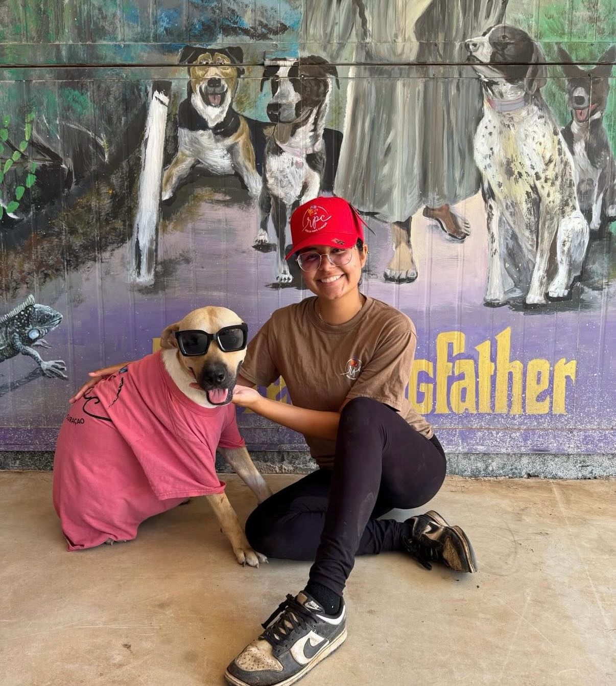 🐾 𝗟𝗼𝗼𝗸𝗶𝗻𝗴 𝗳𝗼𝗿 𝗮𝗻 𝗲𝗱𝘂𝗰𝗮𝘁𝗶𝗼𝗻𝗮𝗹 𝗮𝗻𝗱 𝗳𝘂𝗻 𝗶𝗻𝘁𝗲𝗿𝗻𝘀𝗵𝗶𝗽? 🐶✨
Unfortunately.. we did not get any applications for our internship. So, we are looking for an enthusiastic intern who loves working with animals and isn’t afraid to get hands-on! During your internship, you will be fully involved in the daily care of our dogs. Are you or do you know someone who is looking for an interesting, varied internship? Let us know!!!! ☎️ 
𝗬𝗼𝘂𝗿 𝘁𝗮𝘀𝗸𝘀 𝘄𝗶𝗹𝗹 𝗶𝗻𝗰𝗹𝘂𝗱𝗲:
🐕 Feeding the dogs
🧼 Cleaning and maintaining the kennels
🚶‍♀️ Walking the dogs
💊 Administering medication
🩺 Assisting with veterinary visits
📸 Creating content for our social media
🏖️ And of course… trips to the beach with the dogs!
We are an SBB-certified training company, recognized for various educational programs. More information can be found on our website.
Before starting, we would like to schedule a video call, so you can meet us and ask all your questions 💬😊
Interested? Feel free to send us a message! 🐾
#internship #buitenlandsestage #stagecuraçao #rescuepawscuraçao #westpointer