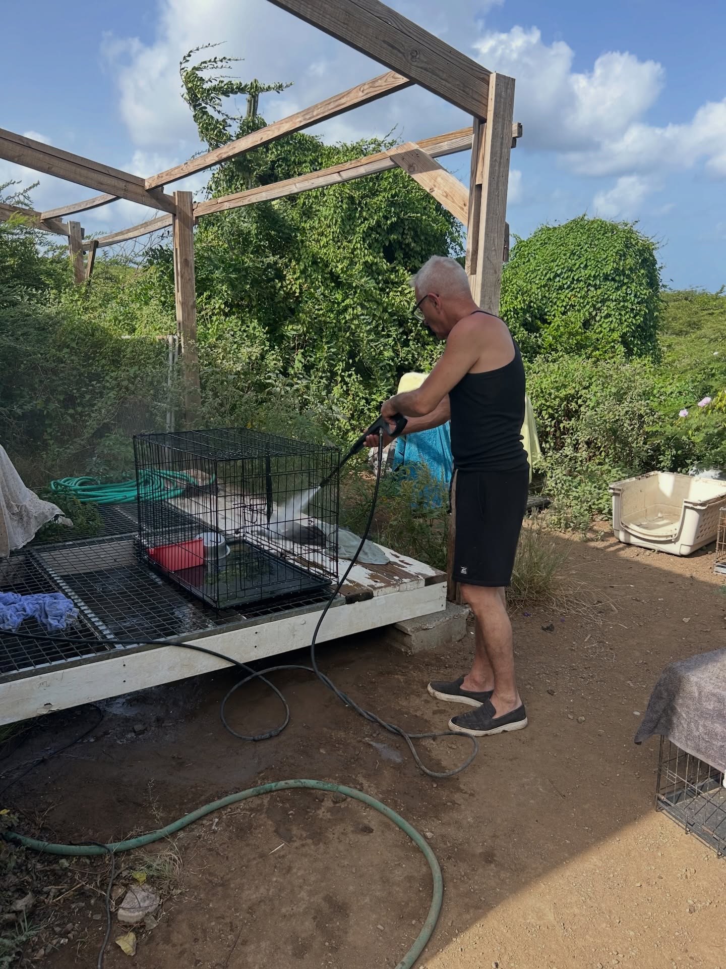 𝗪𝗲 𝗻𝗲𝗲𝗱 𝘆𝗼𝘂𝗿 𝗵𝗲𝗹𝗽! 💪🏼 

At the moment, we are facing a serious shortage of help at the center 😔 There are very few volunteers available, while the workload has actually increased due to Coccidiosis 🦠

This unfortunately has several consequences:
• Increased pressure on the volunteers who are there 💪
• We are less able to take in new dogs, even though the waiting list keeps growing 🐶📋
• Less time for socialization and walking the dogs 🐾💛

And that last part is so important for their development 🐕✨

That’s why we truly need your help! 🙏🤍

You can help in different ways :
• Join us at the center in the morning or during the puppy round in the afternoon 🌅🐶
• Can you help 1 or 2 times? You are also very welcome (by appointment, Monday–Thursday) to walk the dogs 🚶‍♀️🐾

Every little bit helps — together we can make sure these dogs get the care and attention they deserve 🤍🐾

Would you like to help or want more information? Send us a message! 📑 

#lookingforvolunteers #vrijwilligerswerk #rescuepawscuraçao #opzoeknaarvrijwilligers #volunteer