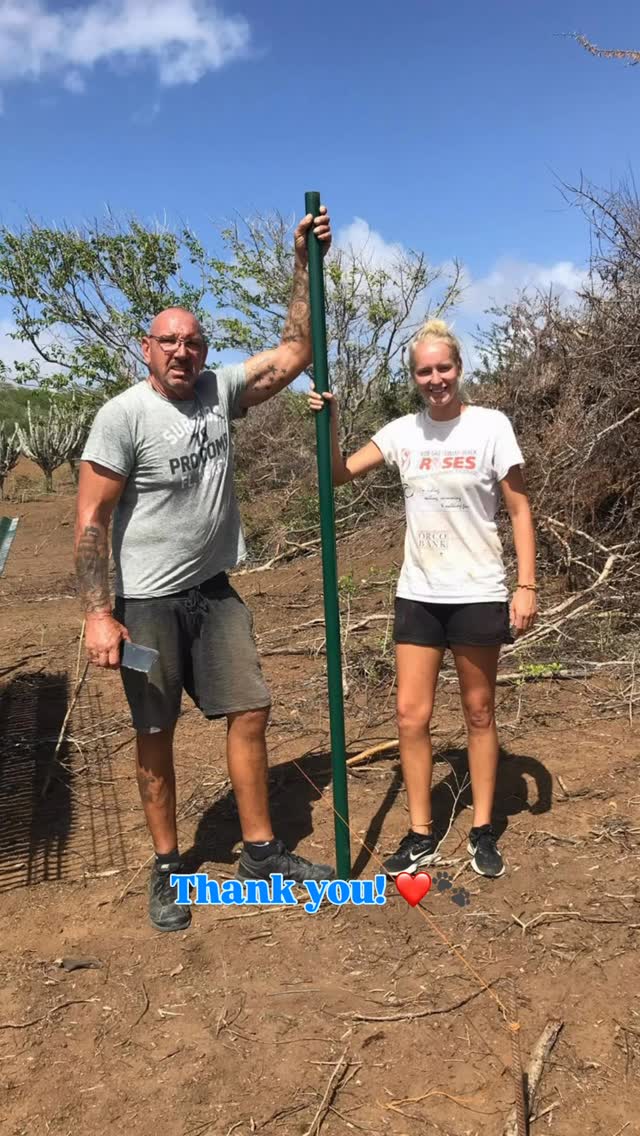 🇨🇼✈️ 𝗧𝗼𝗱𝗮𝘆 𝗶𝘀 𝗿𝗲𝗮𝗹𝗹𝘆 𝘁𝗵𝗲 𝗱𝗮𝘆…
Selma, Patricia, Sammie and Teddie are flying to the Netherlands. Sadly for us, not for a vacation, but to move back there and live. And no, we’re not happy about it at all. Of course we’re happy for them… but it’s still hard to swallow. 💛
Selma… without her, the Center would never have become what it is today.
Together with Gerard, she built, hammered, bricked, painted, sawed, and above all: laughed. For 8 years, starting from the very first pole that went into the ground. The latest projects? Expanding roofs, planting trees… always busy, always full of positive energy. 🌿🔨
And then her sense of humor… we definitely won’t miss that 😉
The coin she glued to the ground, watching everyone bend down to pick it up.
The soda can you should never accept — first shaken up really well.
The QR codes she hung up everywhere with hilarious pictures (we’re still finding them…).
Dear Selma,
The Center radiates your positivity and humor. The dogs will miss you so much — your warm, beautiful energy has meant the world to them. 🐾
You will always remain in our hearts. Always. 💛✨