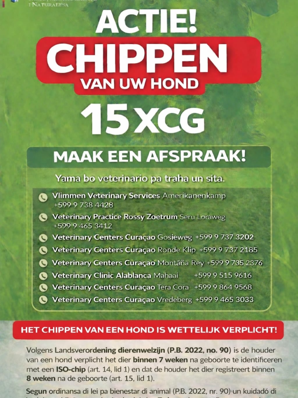 𝗜𝗠𝗣𝗢𝗥𝗧𝗔𝗡𝗧: Have your dog microchipped in Curaçao! 🇨🇼🐾
Did you know that microchipping your dog is mandatory on our island? It not only helps you find your beloved pet if they get lost, but it is now also more affordable than ever—temporarily!
Thanks to a temporary initiative by the Ministry of GMN, microchips are currently available and can be implanted for only ANG 15.
Make it easy for yourself:
Combine the microchipping with an appointment for spaying or neutering. You can simply pay the 15 guilders to the veterinarian or to the transport driver (if we pick up your dog for you).
✅ Arrange it today!
Send a WhatsApp message to: 522 5262 to schedule your appointment.
#rescuepawscuraçao #microchip #adoptdontshop #laatjehondchippen