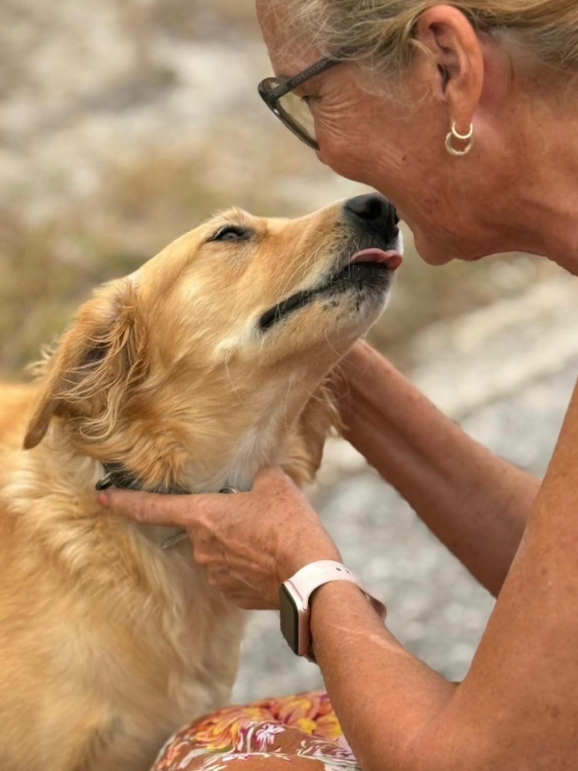 UPDATE!! (April 3)
We’ve now received many kind responses from people who have a nice place for Kanella. A few viewing appointments have been scheduled, and we hope to choose a new home for her from these.
Thank you everyone for the responses and for sharing! ❤️❤️ 🚨‼️ 🐾🐾 KANELLA 🐾🐾 ‼️🚨
We need your help… with a little urgent.. 
Kanella is looking for a new home,
🇨🇼 ON CURAÇAO 🇨🇼
A forever home would be her greatest dream… but even a new loving foster home would mean the world to her right now. She deserves a chance — she truly does.
Kanella is the kind of soul you don’t come across often.
Gentle… sweet… grateful… calm…
She doesn’t ask for much — just a safe place, a soft spot to rest, and someone to love.
And in return? She will give you everything she has — endless love, quiet companionship, and the warmest cuddles you can imagine. 🐾❤️
On November 25, 2025, she was rescued from the streets, where she survived in a pack — a life that clearly didn’t suit her sensitive nature.
Since then, in her foster home, she has blossomed into the most loving, loyal dog. She listens well, learns quickly, and above all… she trusts again.
Now she needs her next step.
A calm, loving place where she can finally just be…
Where she can rest her head, feel safe, and share all the love she’s been holding inside.
Please… do you have space for her?
In your home… and in your heart? 🏡❤️
Reach out for Kanella — she’s waiting.
📧 paws@rescuepawscuracao.com
#foster #fosteringsaveslives #animallove #adoptdontshop #dogrescue fosterhome saveastray