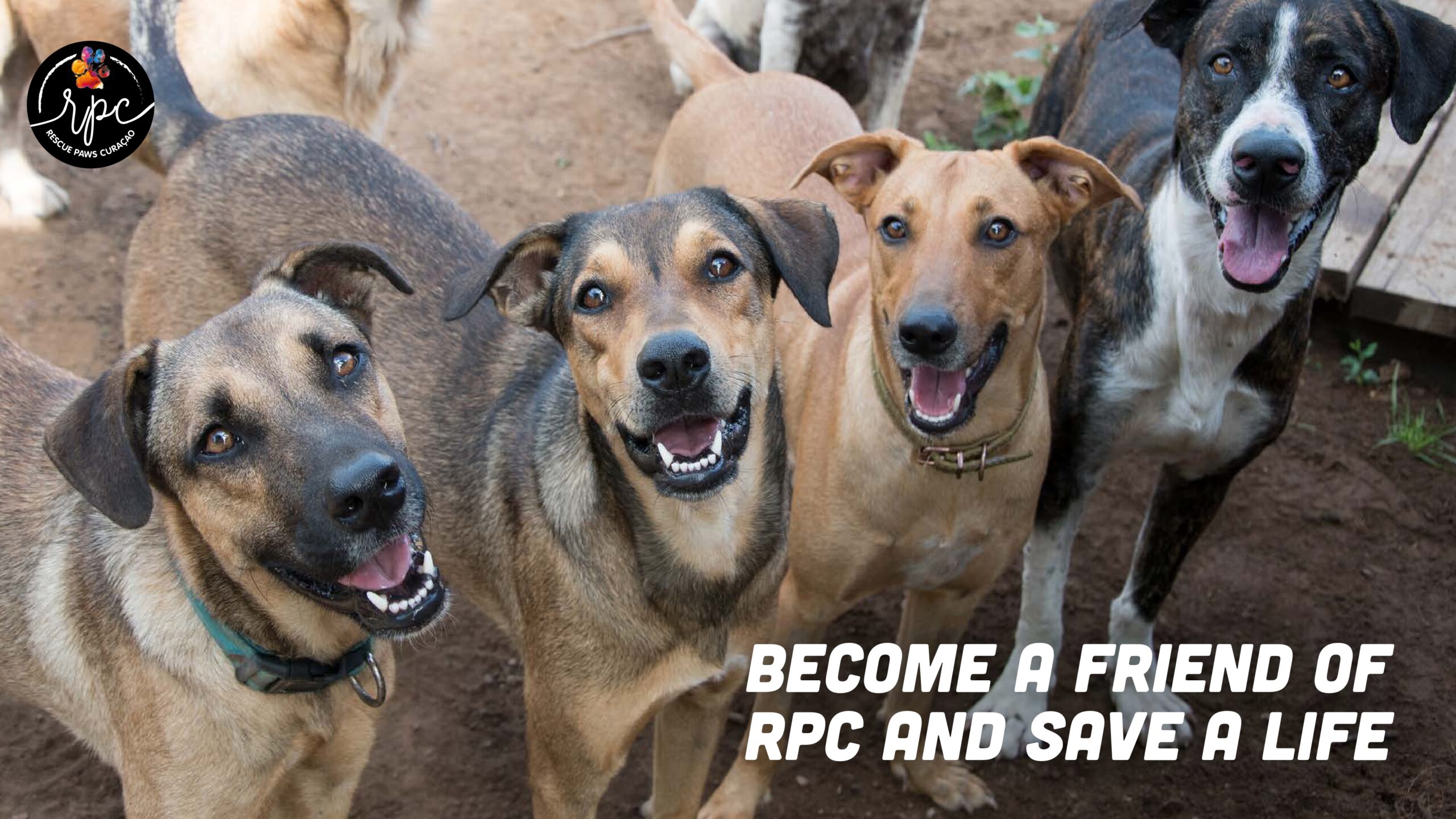 Brochure online_page-0001