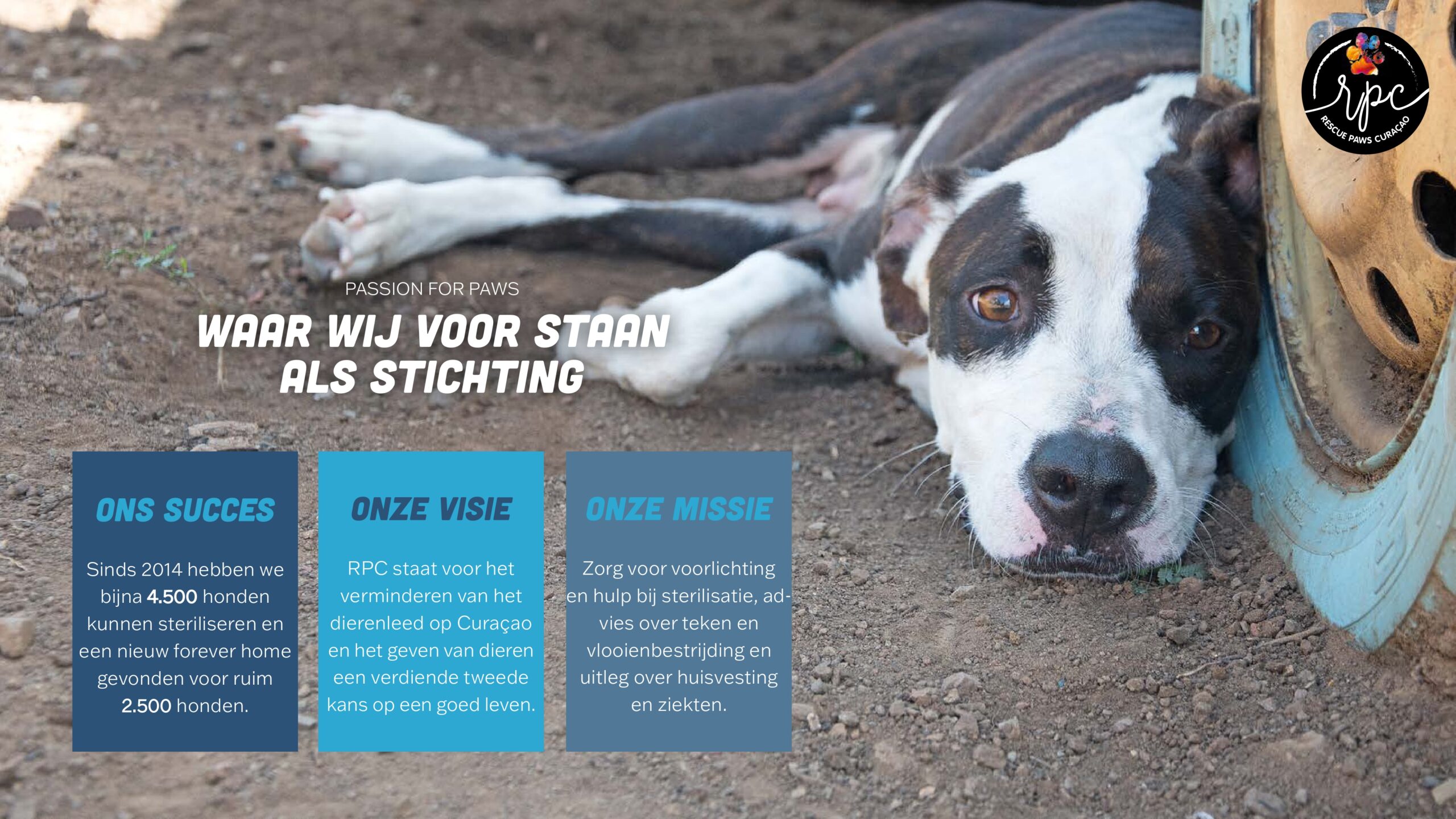 Brochure online_page-0002