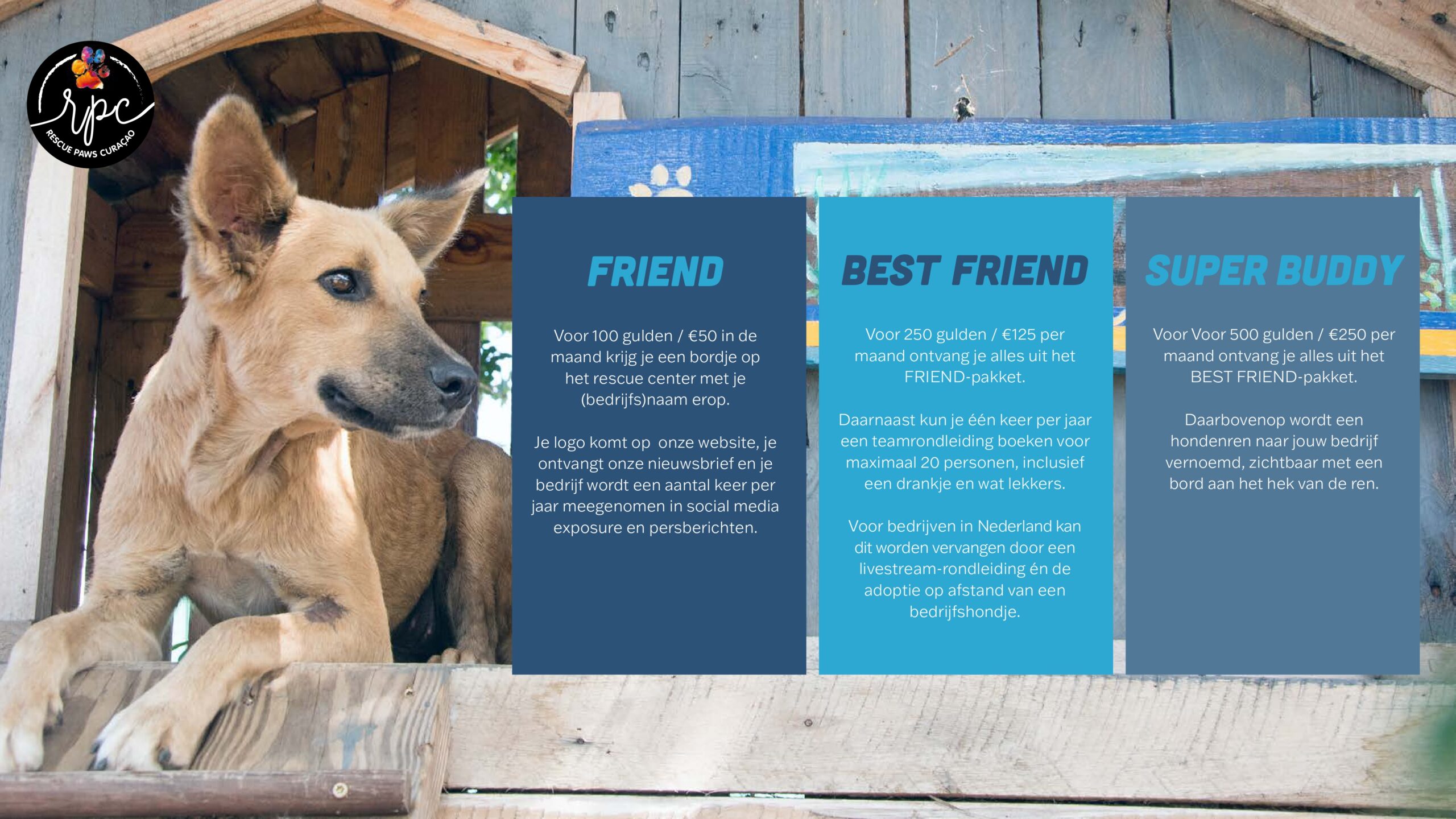 Brochure online_page-0004