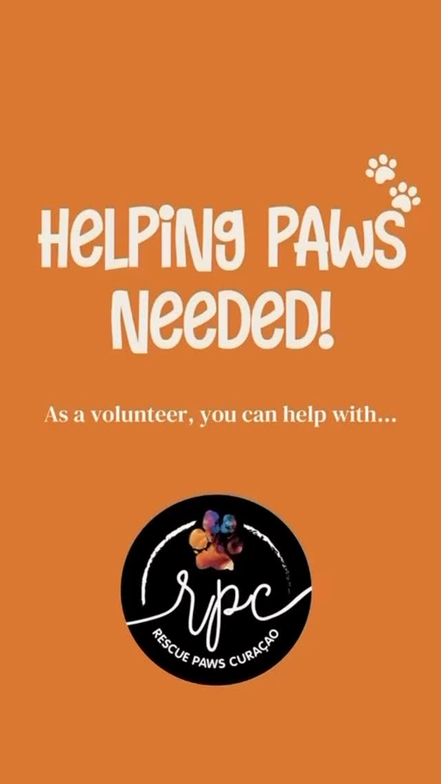 🚨 𝗪𝗘 𝗦𝗧𝗜𝗟𝗟 𝗡𝗘𝗘𝗗 𝗩𝗢𝗟𝗨𝗡𝗧𝗘𝗘𝗥𝗦! 🐾
Life at Rescue Paws Curaçao never stops. 365 days a year, our dogs rely on us for food, clean kennels, walks, care and lots of love. ❤️ 🐶 And right now, we really need some extra hands…

𝗖𝗮𝗻 𝘆𝗼𝘂 𝗵𝗲𝗹𝗽?
Do you live on Curaçao or are you staying here for a while? We’d love to have you! Are you not afraid to roll up your sleeves and get a little dirty 😉? We’re looking for dog lovers who can help for at least 3 shifts. After your first day of training, it’s important that you’re able to work independently.

𝗪𝗵𝗲𝗿𝗲 𝘄𝗲 𝗻𝗲𝗲𝗱 𝗵𝗲𝗹𝗽:
☀️ 𝗠𝗼𝗿𝗻𝗶𝗻𝗴 | 𝟴:𝟯𝟬 𝗔𝗠 – 𝟭𝟮:𝟬𝟬 𝗣𝗠
Feed the dogs, thoroughly clean the kennels and puppy runs, walk the dogs, hang, fold and put away laundry, and spend time socializing with the dogs while giving them plenty of love and attention. 🫶🏼

🌅 𝗣𝘂𝗽𝗽𝘆 𝗿𝗼𝘂𝗻𝗱 | 𝟰:𝟯𝟬 𝗣𝗠 – 𝟲:𝟬𝟬 𝗣𝗠
Feed the puppies, move the smallest dogs to their night kennels 💤, walk the dogs, and hang up and put away the laundry.

🛍️ 𝗩𝗶𝘀𝗶𝘁𝗼𝗿 𝗱𝗮𝘆𝘀 | 𝗙𝗿𝗶, 𝗦𝗮𝘁 & 𝗦𝘂𝗻 | 𝟭𝟬:𝟬𝟬 𝗔𝗠 – 𝟭𝟮:𝟬𝟬 𝗣𝗠
We’re also looking for someone to sell our fun merchandise and cold drinks, and to welcome and assist our visitors.

🏡 Can’t volunteer at the shelter? You can also help by becoming a temporary foster. We cover the costs, you provide a loving home.

📩 Interested? Email us at manager@rescuepawscuracao.com or sign up through the form on our website.

#rescuepawscuracao #volunteercuracao #volunteersneeded #dogrescue #rescuedogs